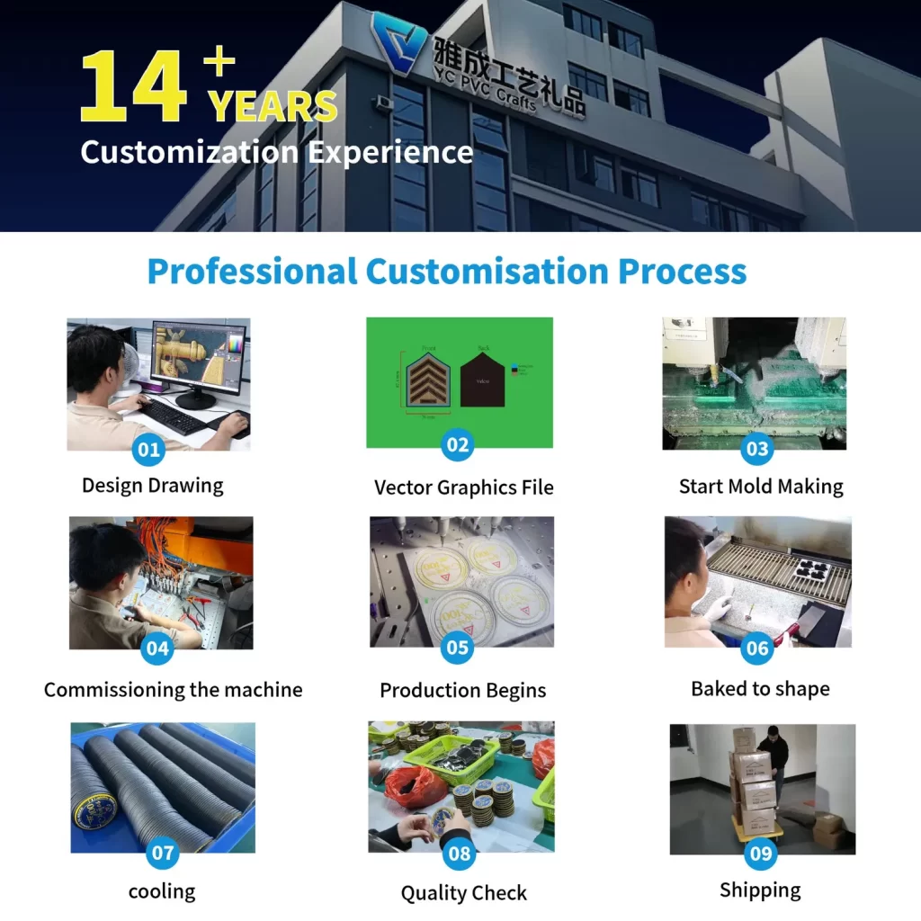 Professional Customisation Process