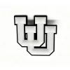 PVC Helmets Decals Sticker Label